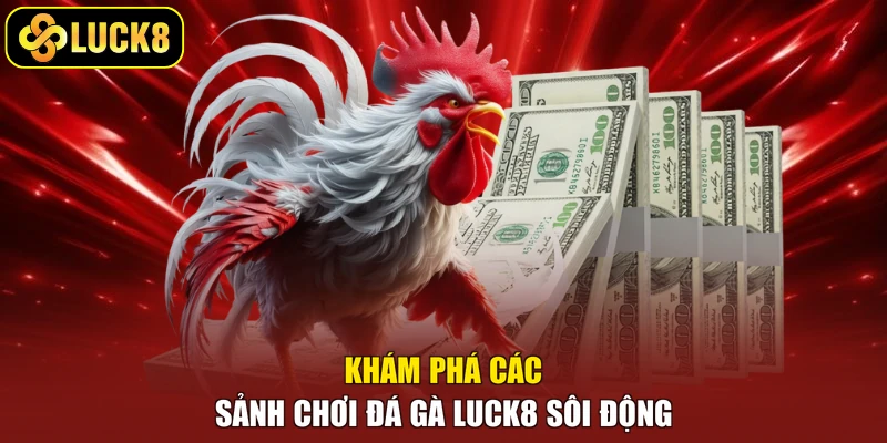 Khám phá các sảnh chơi đá gà Luck8 sôi động