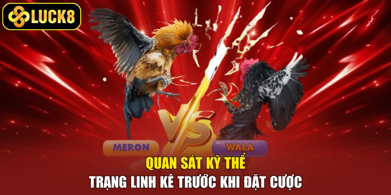Quan sát kỹ thể trạng linh kê trước khi đặt cược