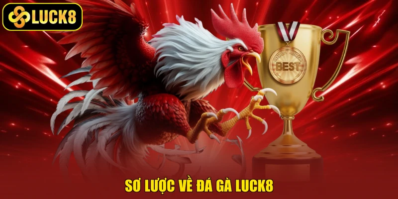 Sơ lược về đá gà Luck8